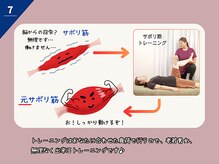 ラシュシュ/サボリ筋とは？