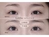 【オプション】【小顔/エイジング効果】ＬＥＤ下まつげエクステ20本　￥3,300