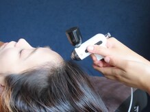 リベル(Liber)/ヒト幹細胞で毛母細胞活性促進