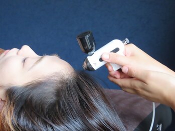 リベル(Liber)/ヒト幹細胞で毛母細胞活性促進