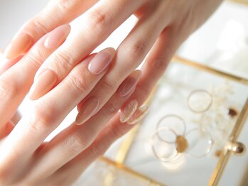 ルピナス(Lupinus)/ナチュラルビューティー☆