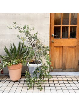 ラシュシュ(La chou chou)/施術ルーム2