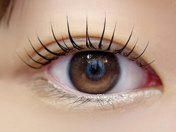 ブリリアント 羽衣店(BRILLIANT)の写真/エクステが苦手な方やナチュラル派の方にはまつげパーマ（うる艶トリートメント付）がおすすめ◇