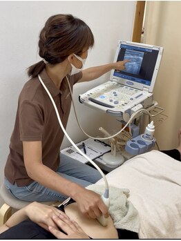 ひなた(salon)/超音波断層法による評価が可能