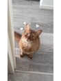 ティーエヌ 梅田店 猫飼ってます♪