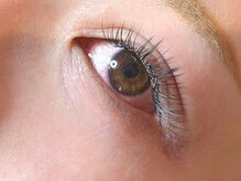 バカンス(VACANCES)/フラットラッシュ