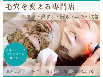 シーズン(Season)の写真