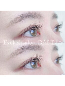 ダリア(DAHLIA)/フラットラッシュブラウンカラー