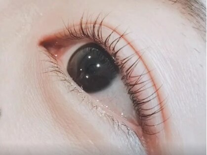 ククナ(Kuku-na)の写真