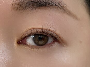 テラ アイラッシュ(TERRA eyelash)/＊ブラウンエクステ＊