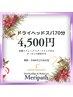 【NEW】【後頭部じんわり解放セミロングコース】ドライヘッドスパ70分4,500円