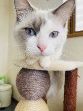 整体 陽なた家&nbsp;ミカヅキ さん