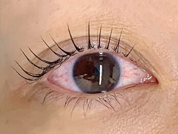 ベリーノ 五反田(Bellino)/まつげパーマ