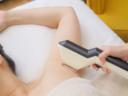 カドル(Cuddle)の写真