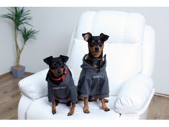 ナッツ(Nuts)/当店には犬がおります