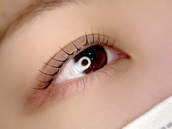 SUI.gemini eyelash パリジェンヌ まつげパーマ LED マツエク 眉毛/ラッシュリフト