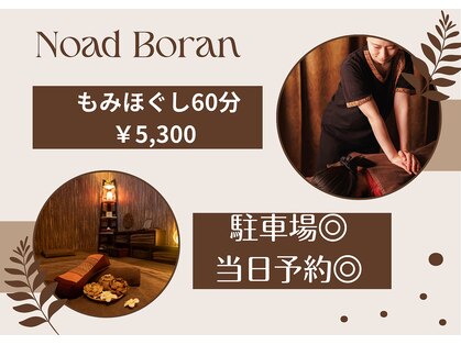 ノアボラーン(Noad Boran)の写真