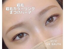 サリュウ 西新店(Salyu)の雰囲気（『同時施術♪眉毛・眉毛カラーリング・まつげパーマのセット』）
