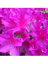 アイラッシュサロンガーデン(Garden)&nbsp;白井 