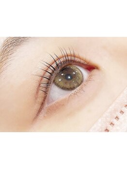 初めての方にオススメ