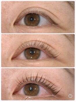 オッターヴァ 学芸大学(8va.)/マイラミネーション