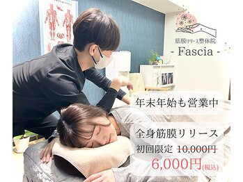 ファシア(Fascia)