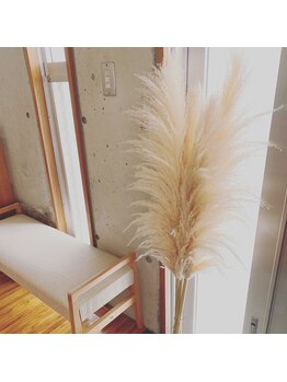 リロ(Lilo)/店内イメージ♪