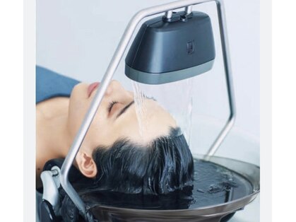 ミレニ(millenni)の写真