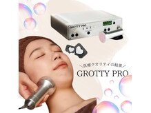 薫風の雰囲気（グロッティープロ：むくみやたるみ、シワの改善、血行を促進。）