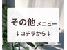 【　　その他メニュー　　】