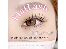 カメリア(Camellia)