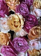 プラチナローズ(Platinum Rose)&nbsp;富樫 翠