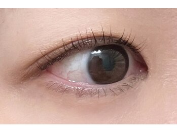 シンシア(SinSia)/