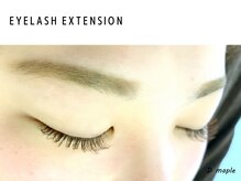 ディーメイプル(D maple)/*大人気１２０本　¥４９５０*