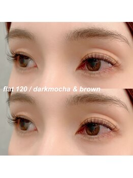 マルコ(marco)/ブラウンカラー120本