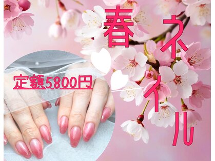 ソワ(sowa)の写真