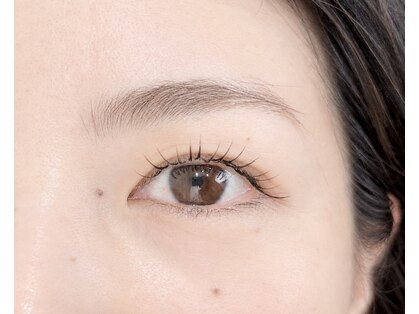 ティピ(tipi)の写真