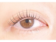 パレット(palette)/●