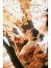 卒業式　袴着付け、ヘアセット（早朝料金込み）
