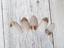 ハンド定額デザインコース6100円