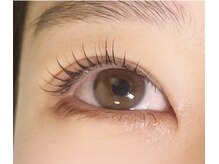 パレット(palette)/●