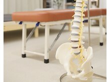 こつこつ(k.tu k.tu)/骨格模型