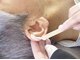 ハウオリ(HAU'OLI)の写真/細かいパーツのWAXはもちろん！極細アタッチメント使用で光照射も可能◎