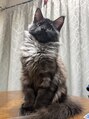 ラディア ボディ(Radia Body) プライベートは癒しの愛猫ちゃん(^_-)-☆