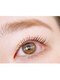 セレビアイ 新潟西店(Celeby Eye)の写真/まつげパーマ4200円!最新ロッドで叶える似合わせデザインとコスパの良さ♪