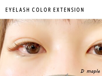 ディーメイプル(D maple)/ブラウンカラーは5色から★