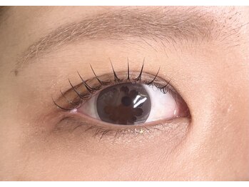 パレット(palette)/●