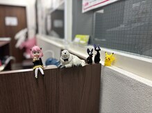 ほぐせる スター鍼灸接骨整体院 竹ノ塚 竹ノ塚東口駅前店/可愛いシリーズ