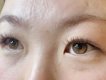 ウルカ アイラッシュ(uruka EYELASH)/フラットラッシュ 120本