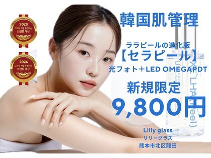 リリーグラス(Lily glass)の写真